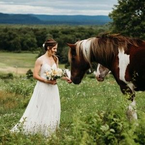 Meet your Posher, Carey